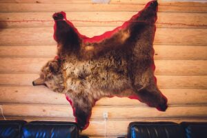 A Bear Pelt