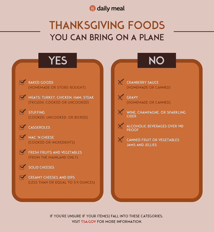 Thanksgiving TSA